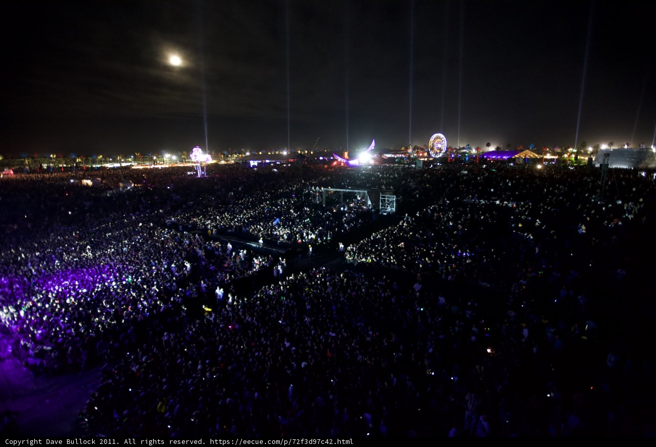 Moonlit Madness
