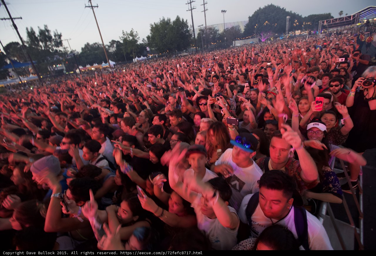 Wide Crowd Pink Purple Light