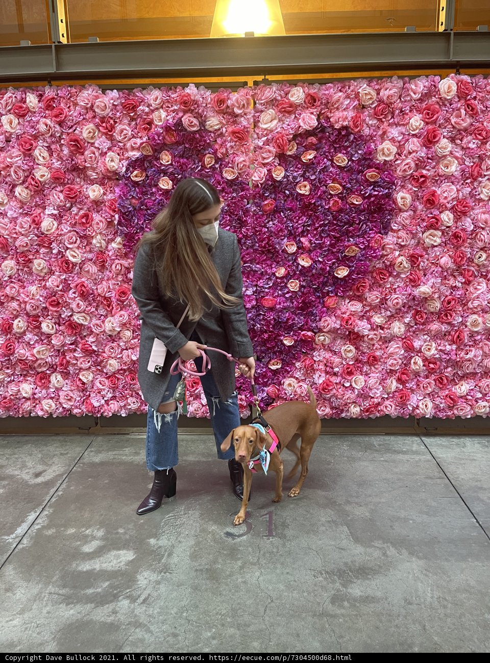 Blooming Beauty and Her Faithful Companion