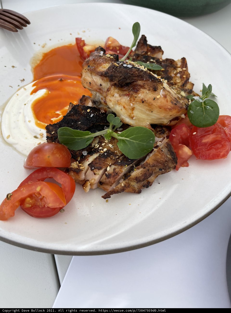 Tomato Chicken Delight