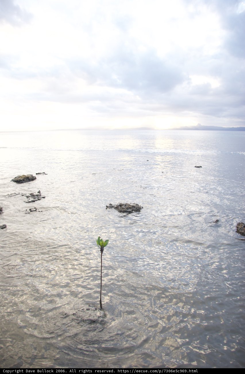 Solitude in the Sea