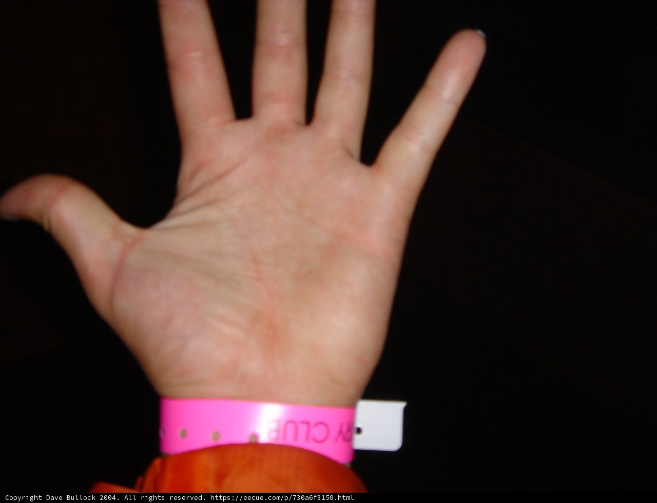 Wristband Wonder