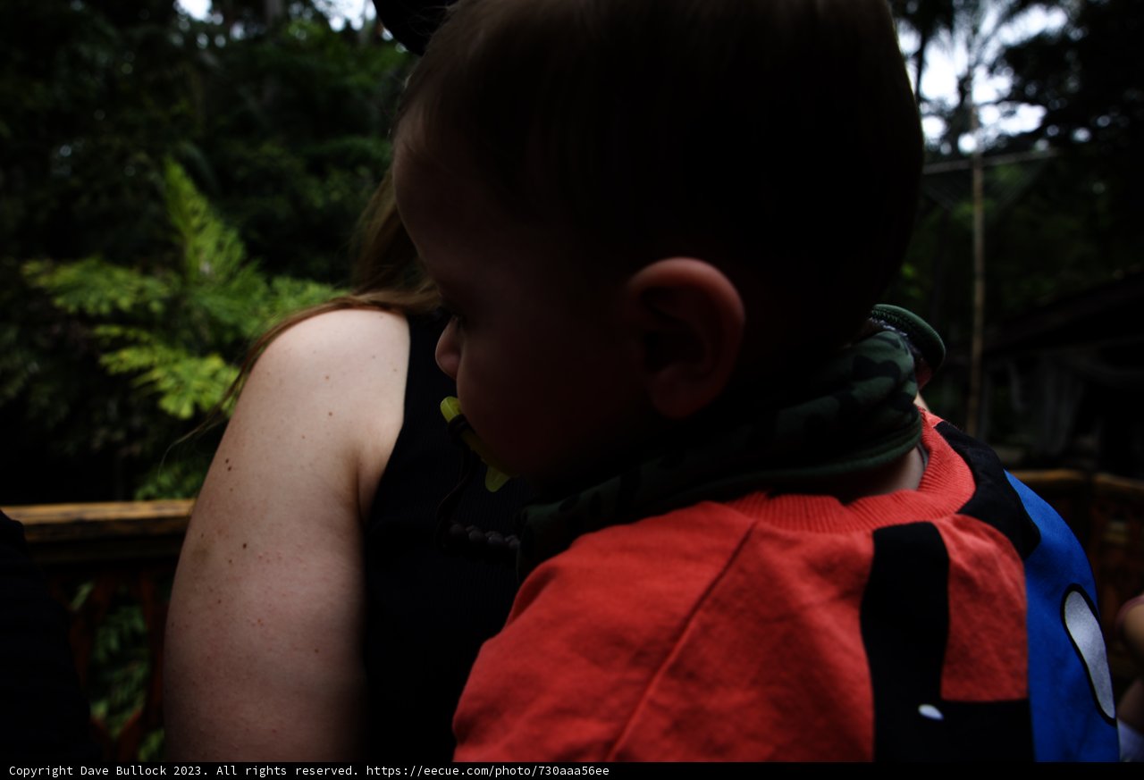 Cherishing Moments: Disneyland Adventures