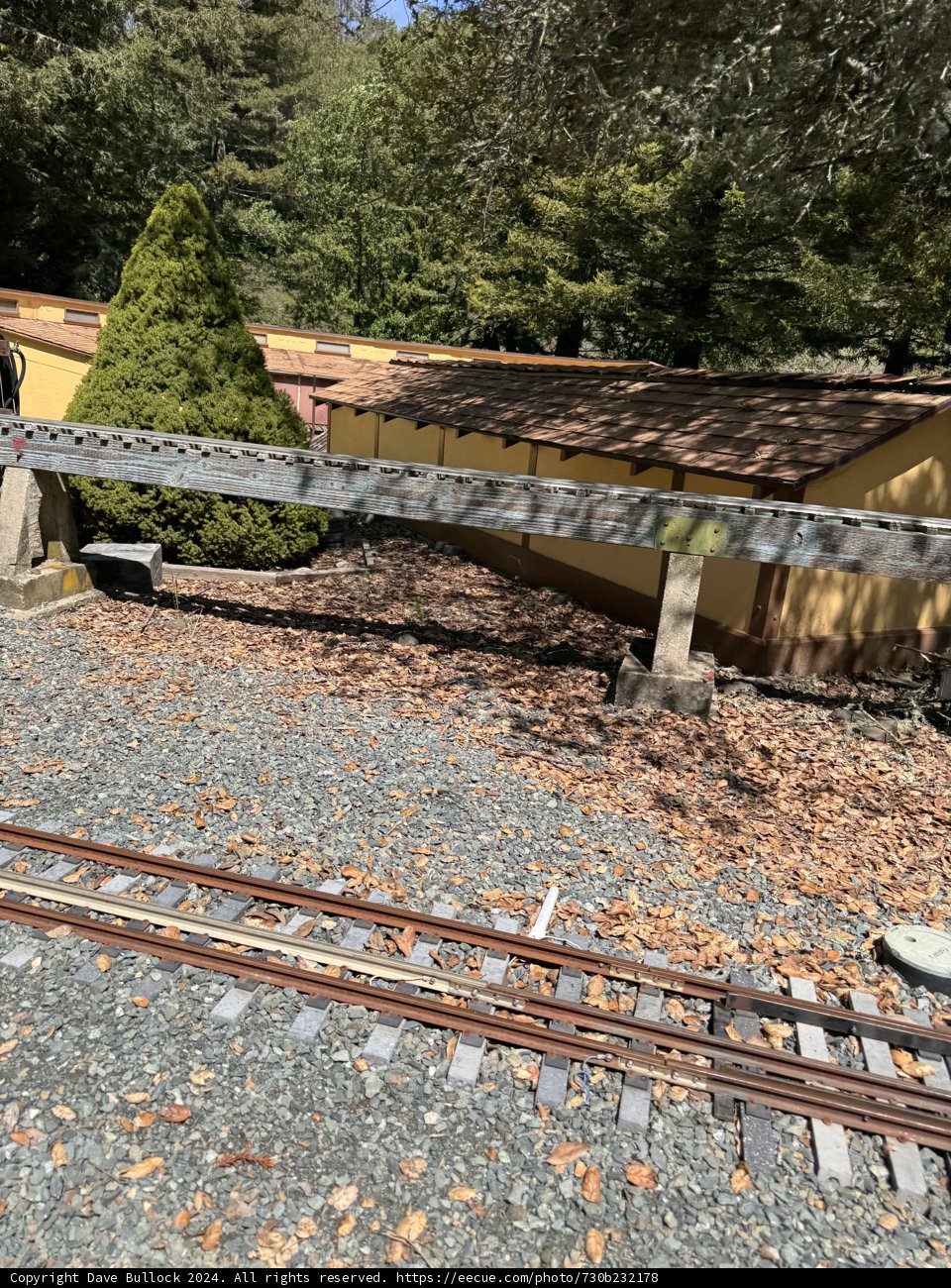 Rustic Railways in Tilden Park