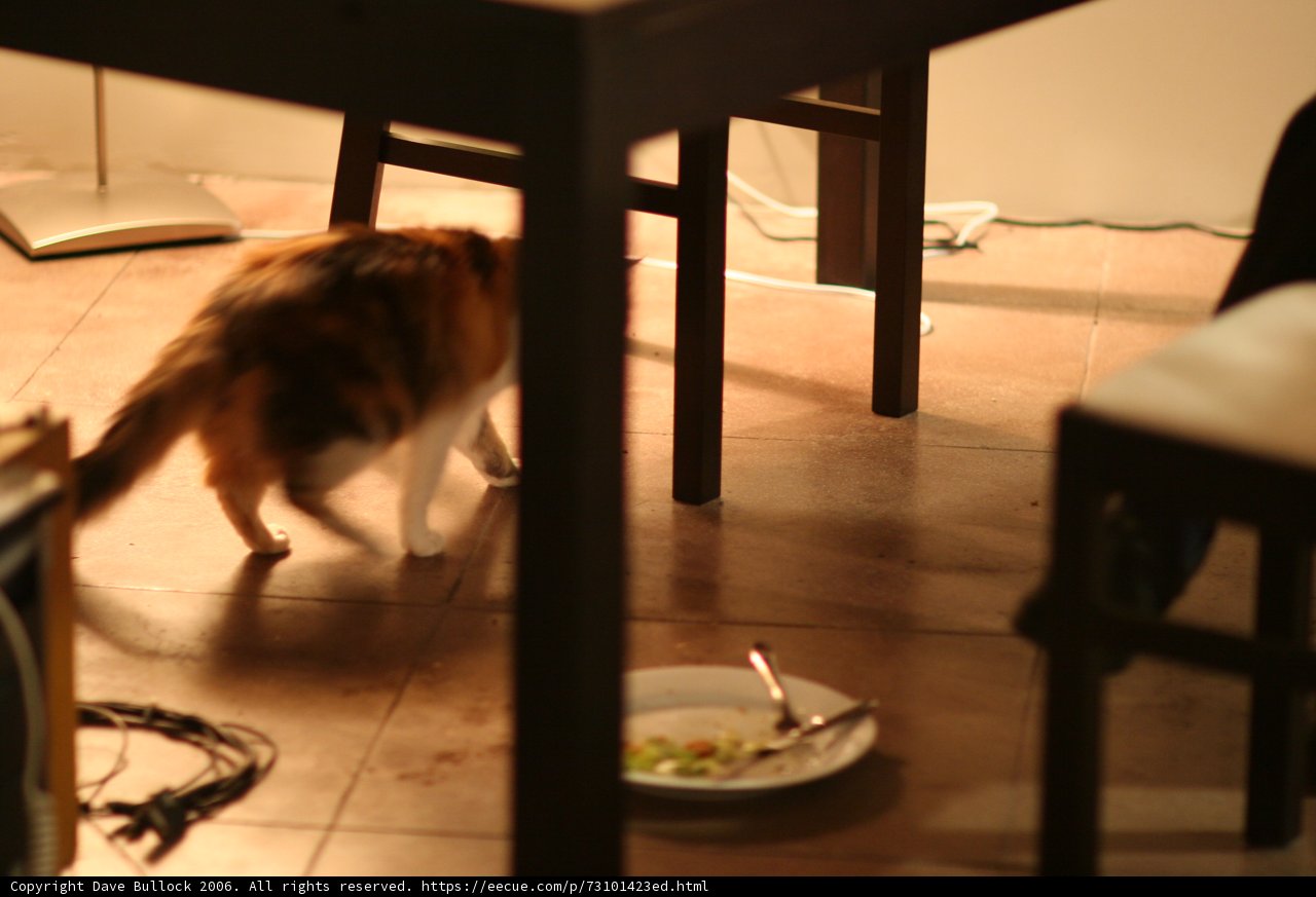 Under the Table