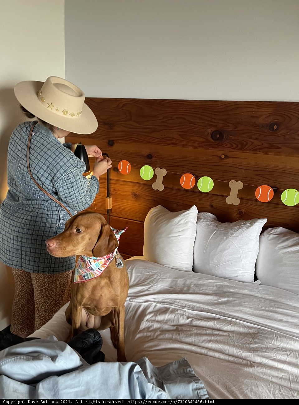 Hat and Hound in Jenner