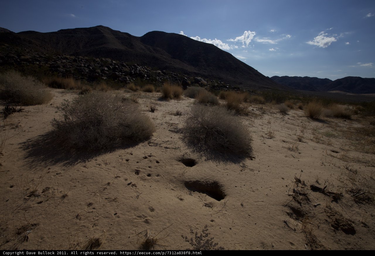 Majestic Mountain in a Drought