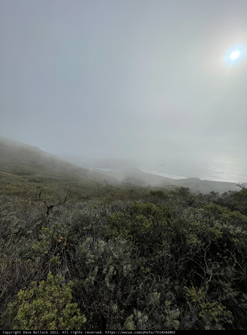 Misty Mountains and Sea