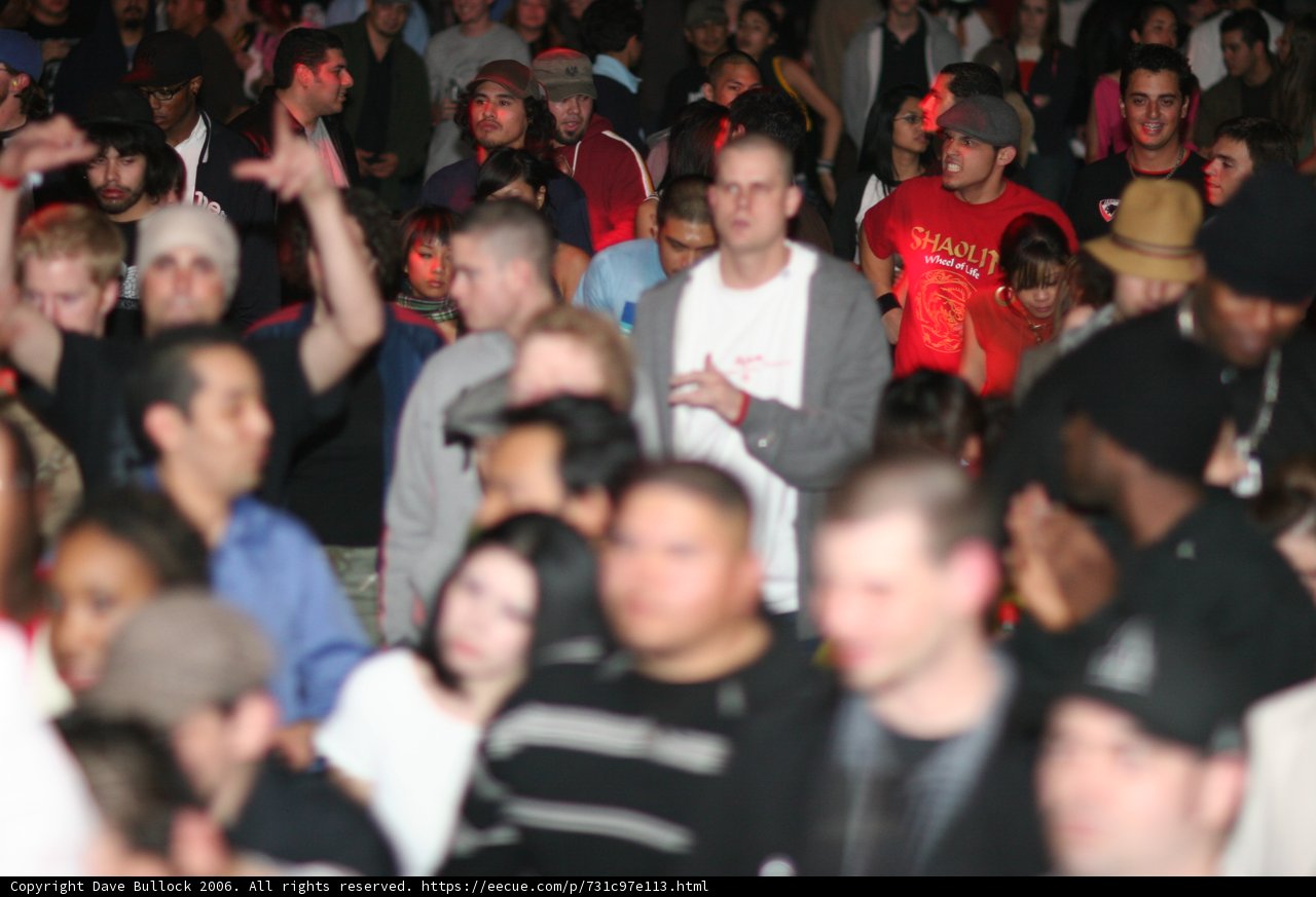 Bass Rush Concert Fever