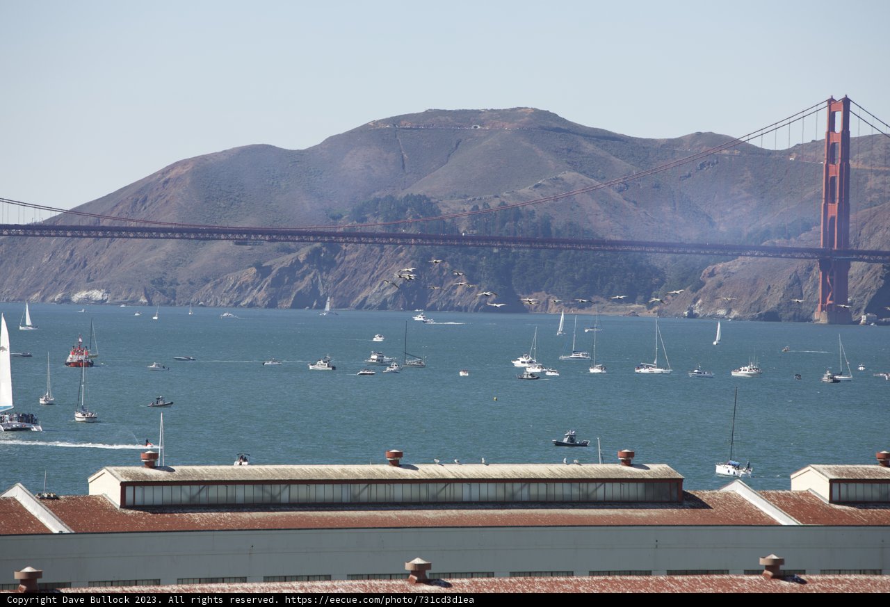 The Vibrant Resonance of the Red Bridge