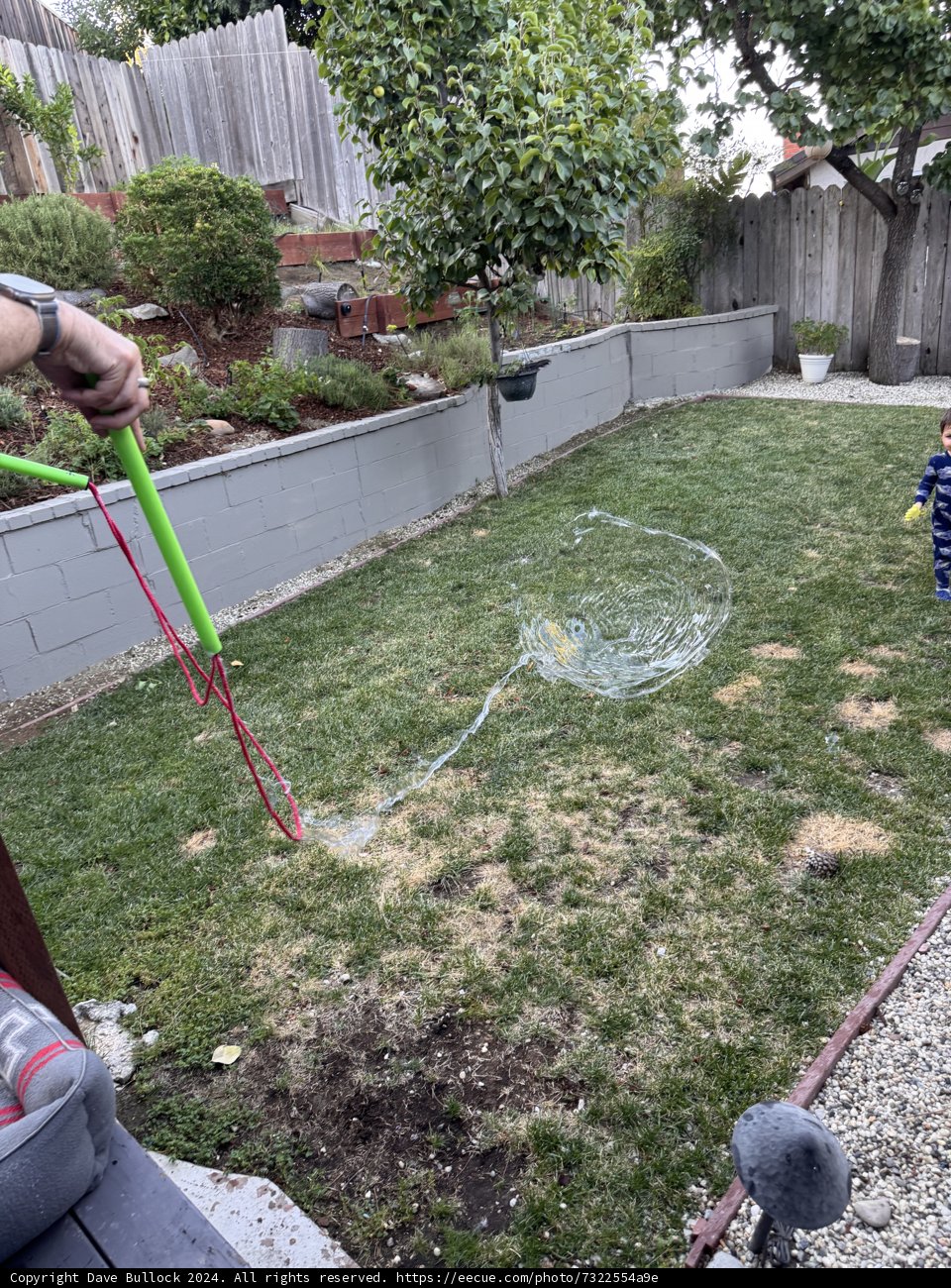 Backyard Bubble Fun