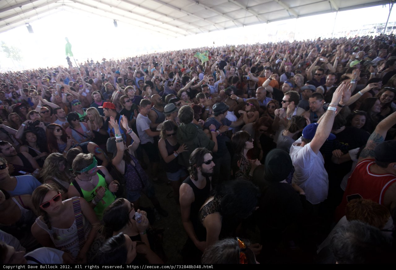 Coachella Crowd (2012)