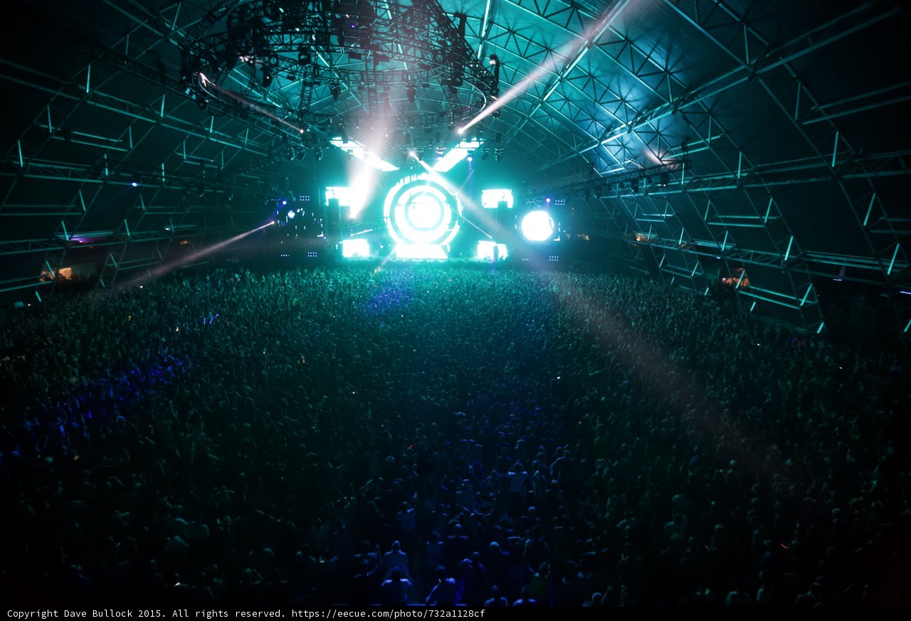 Spotlight on the Rock Concert Crowd