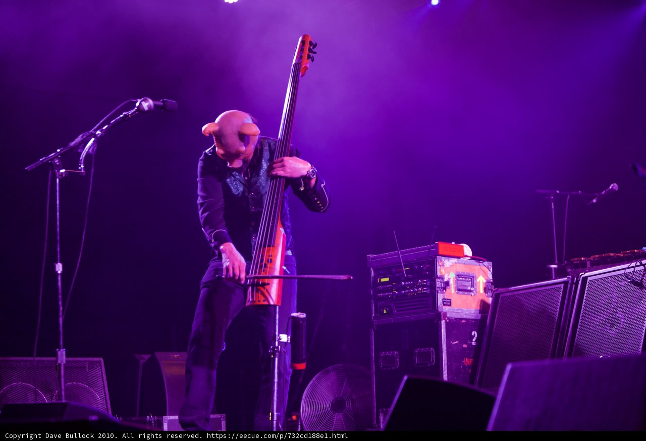 Cello Serenade at Coachella