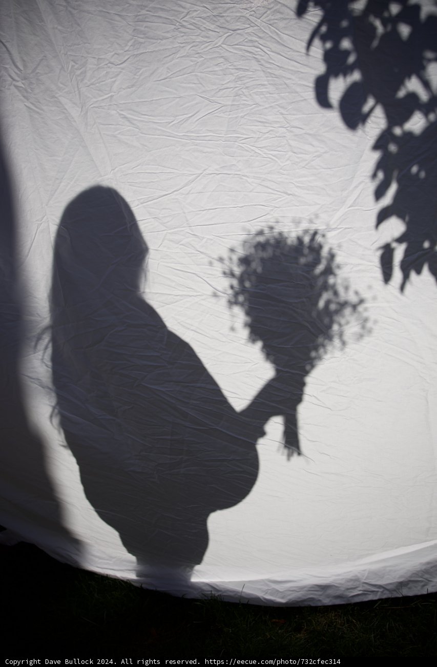 Shadow of New Beginnings