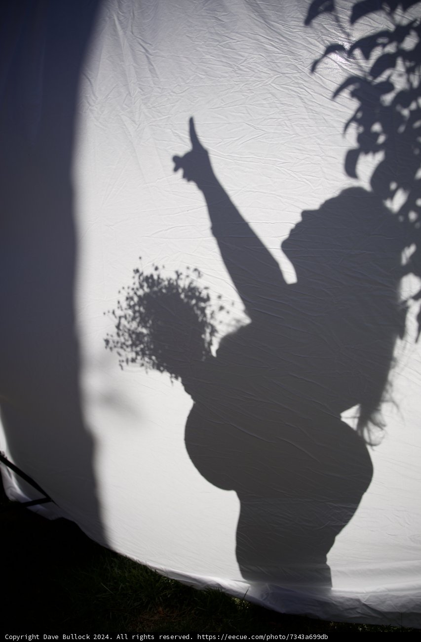 Silhouette of New Beginnings