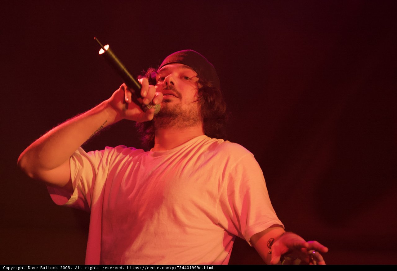 Rocking the Crowd at Coachella