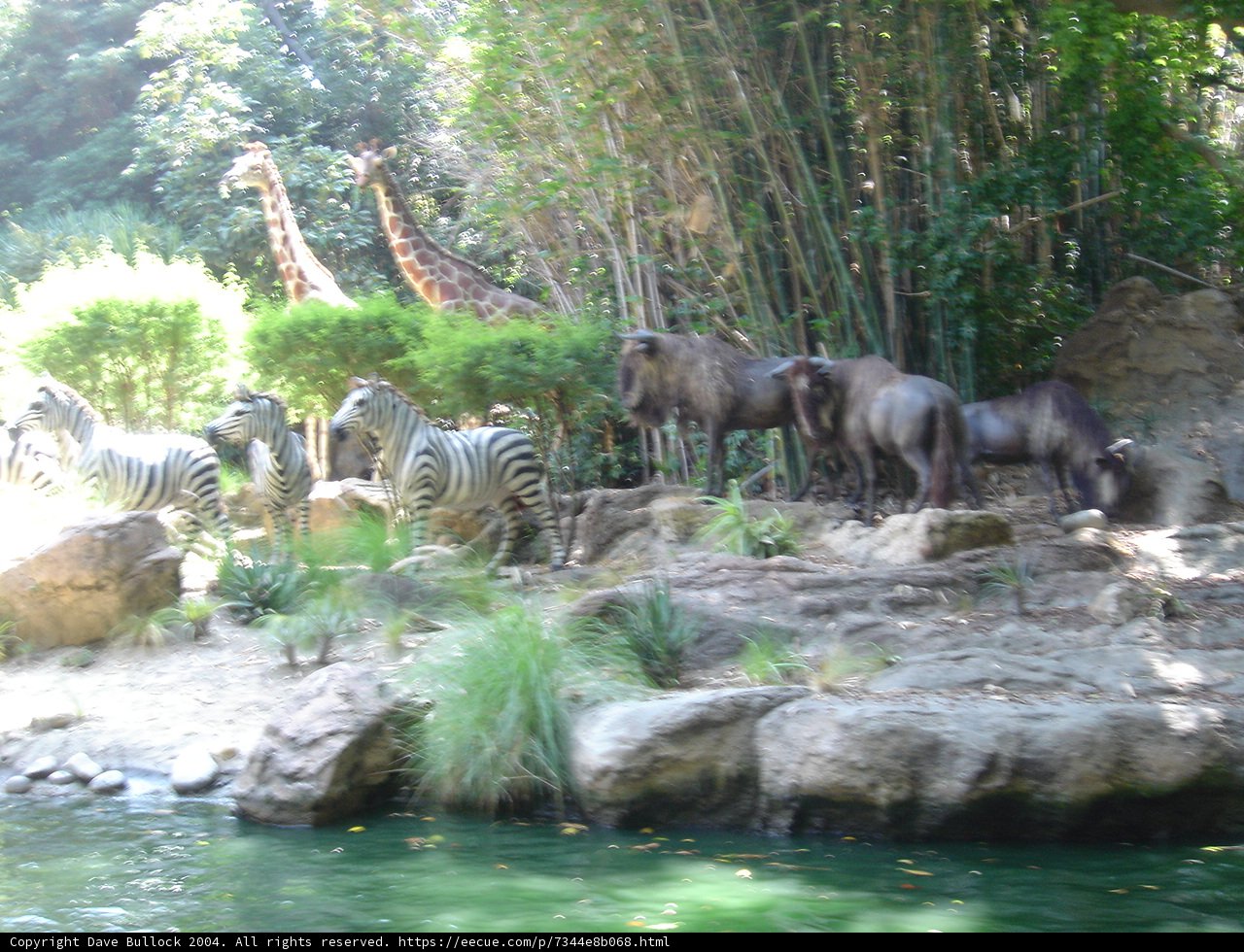 A Day at the Zoo