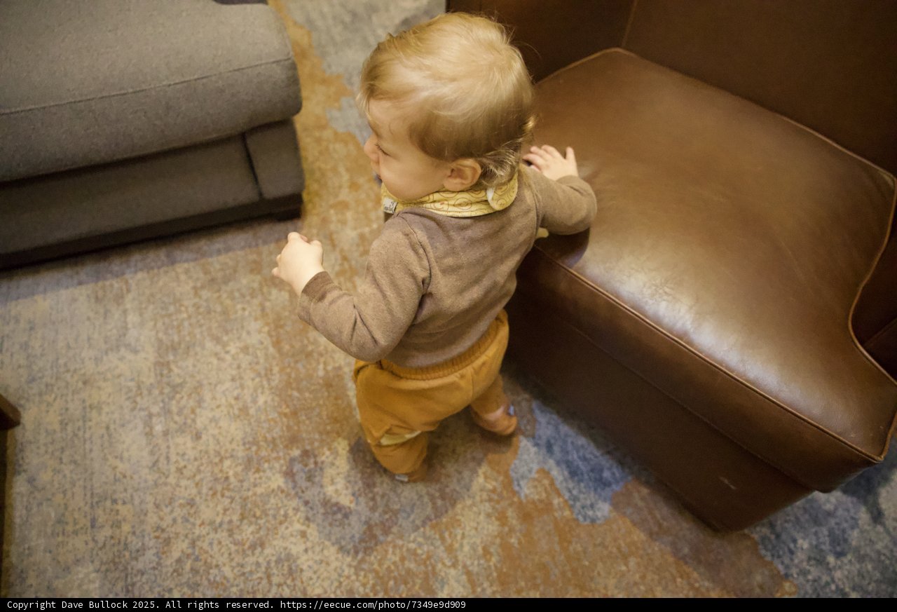Exploring the Living Room