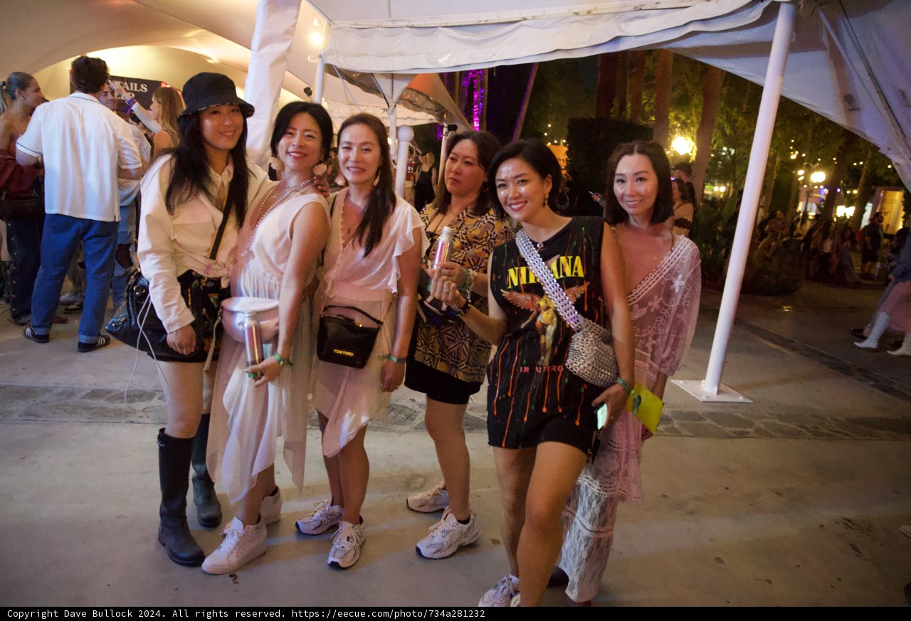 Evening Elegance at Coachella 2024: A Vivid Display of Style and Friendship