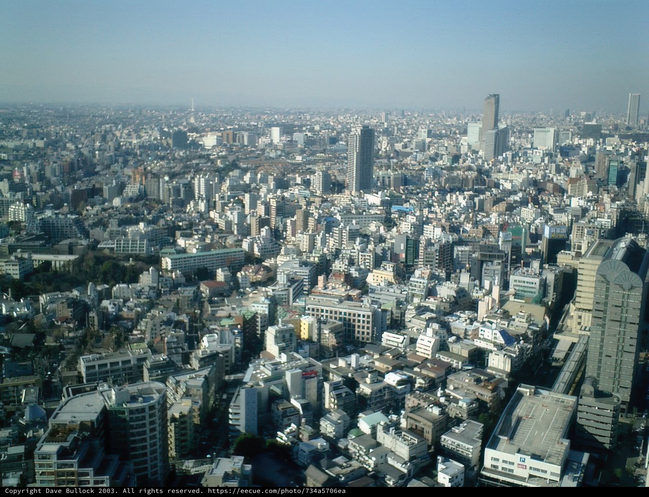 Tokyo Metropolis from the Sky