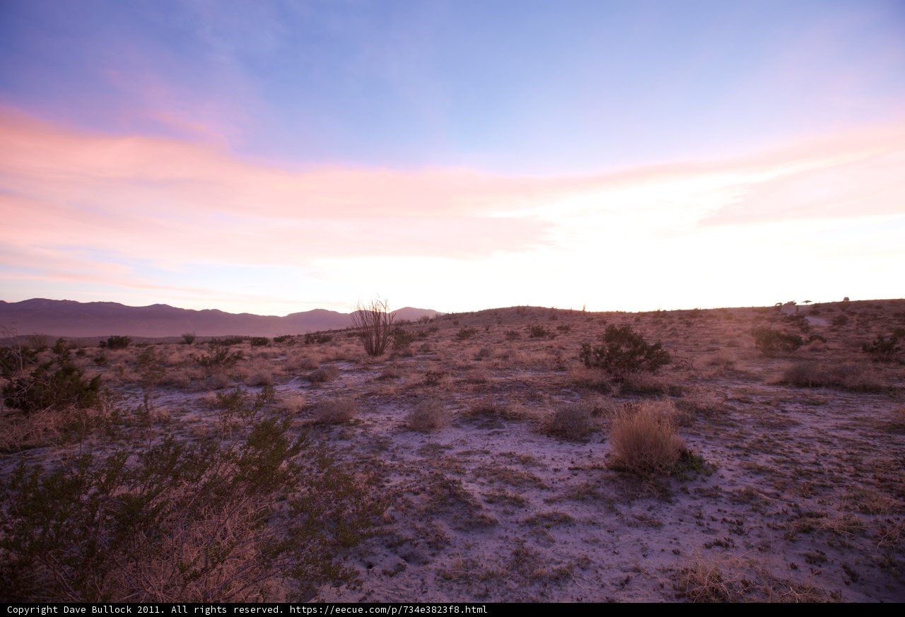 Pink Desert Dreams