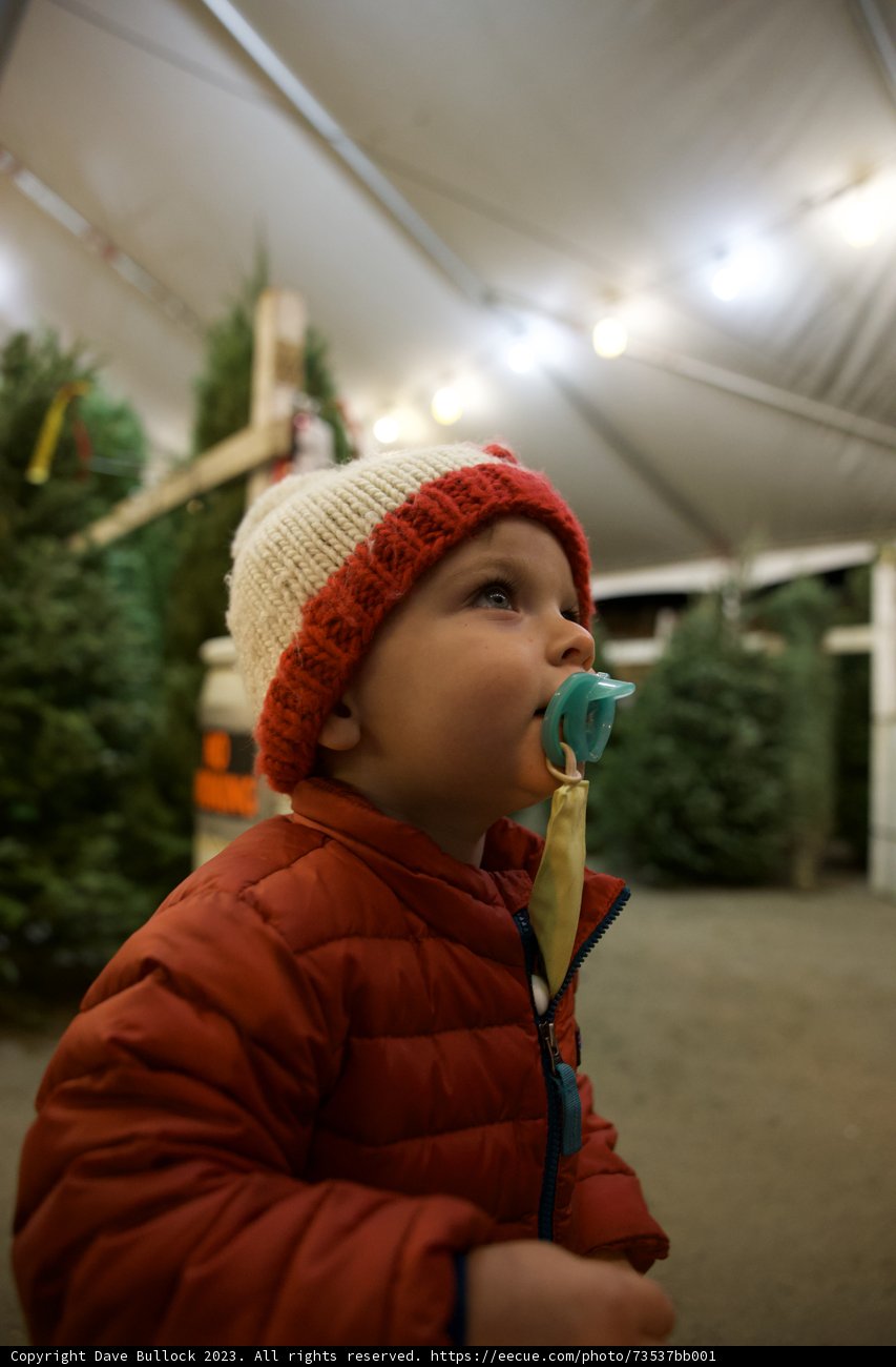 A Winter Charm with Little Wesley