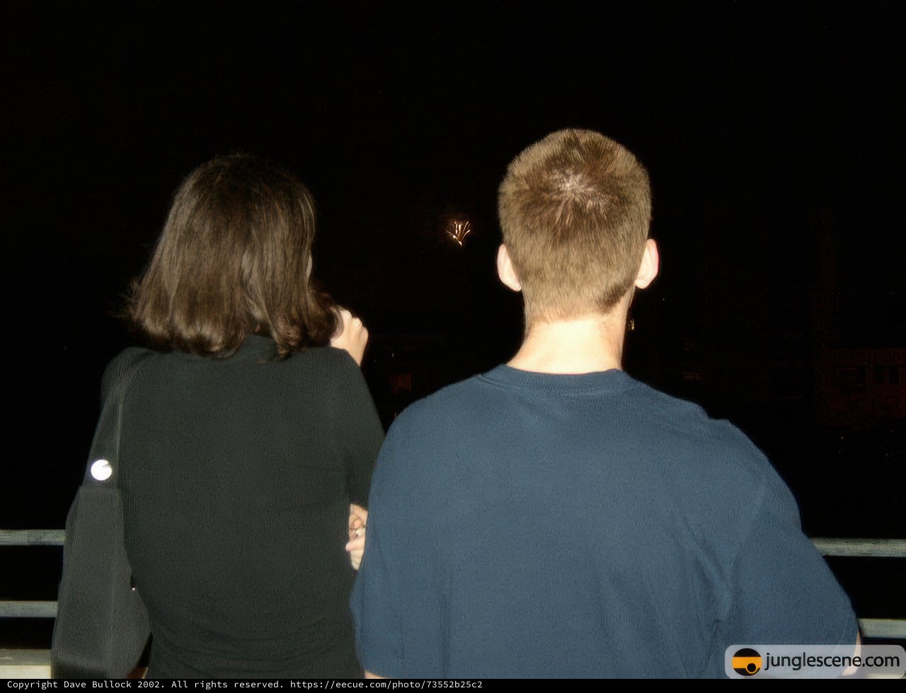 Sparkling July Night