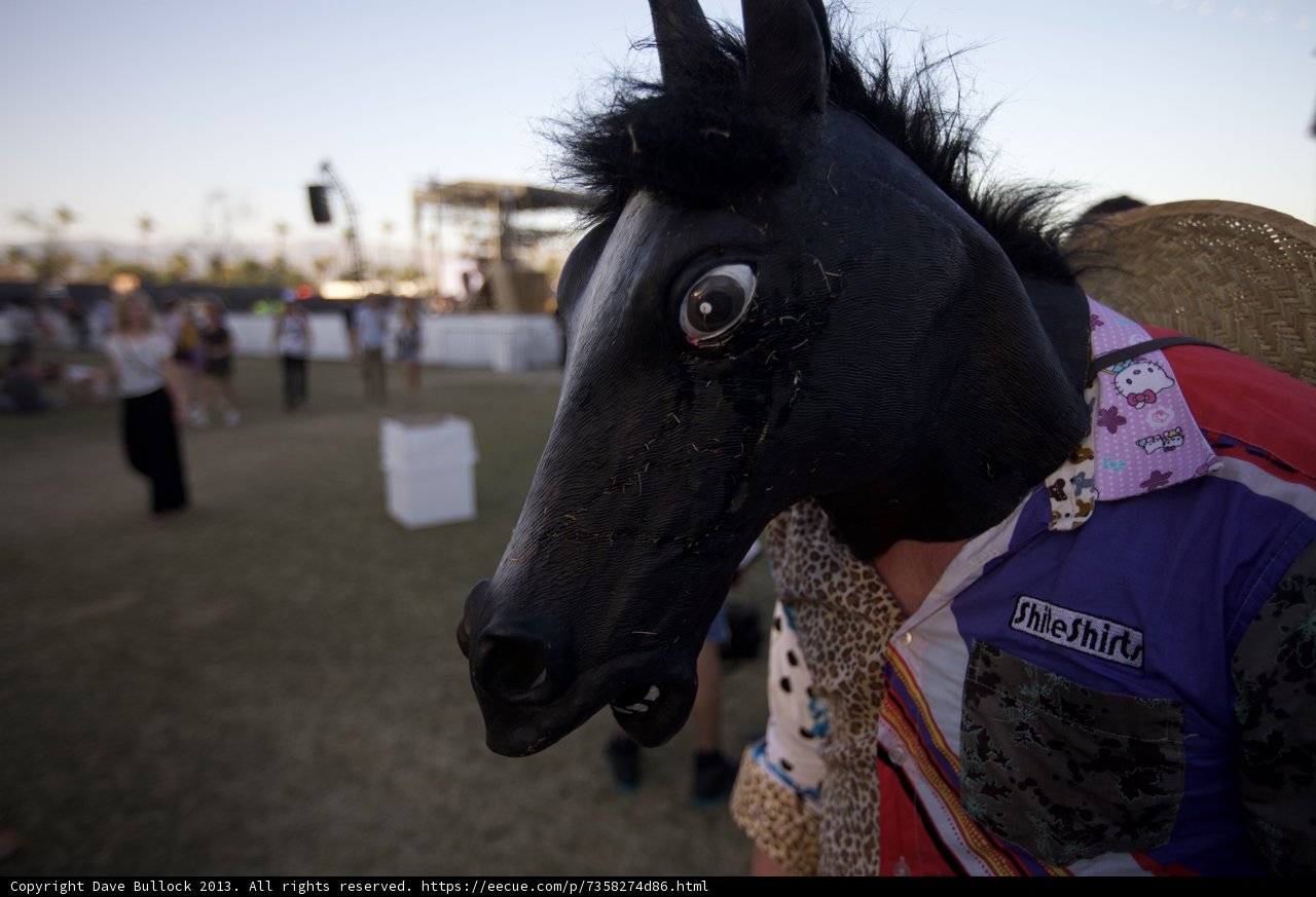 Horse-headed revelry