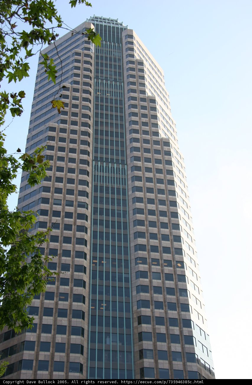 Towering Over the City