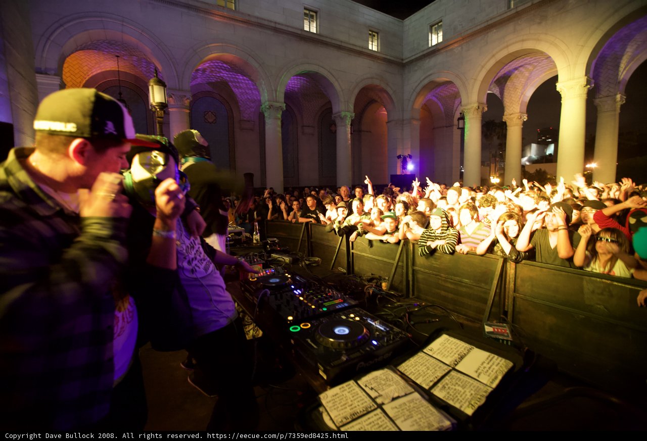 The Nightlife Maestro
