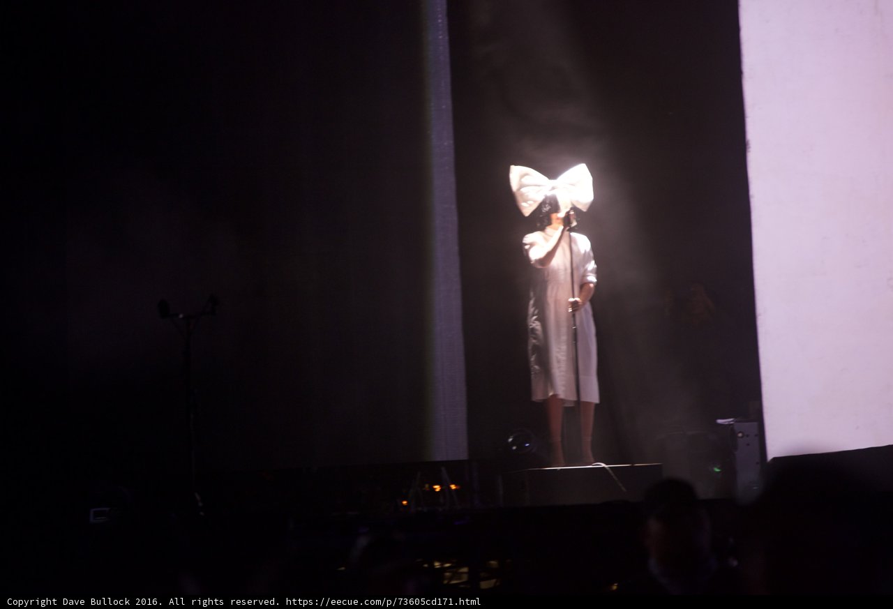 The Bow Queen
