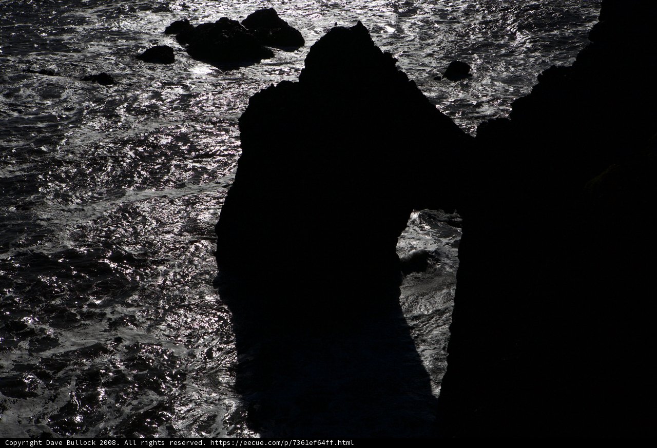Moonlit Serenity
