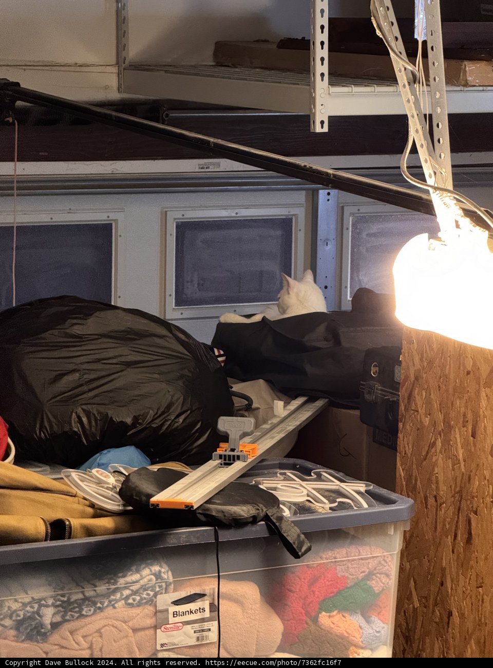 Cozy Hideaway