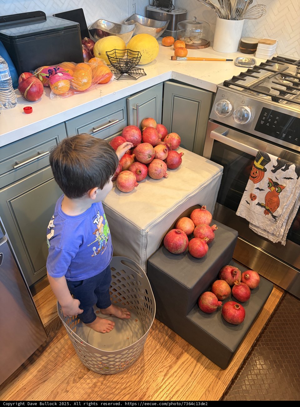 Pomegranate Paradise in the Kitchen