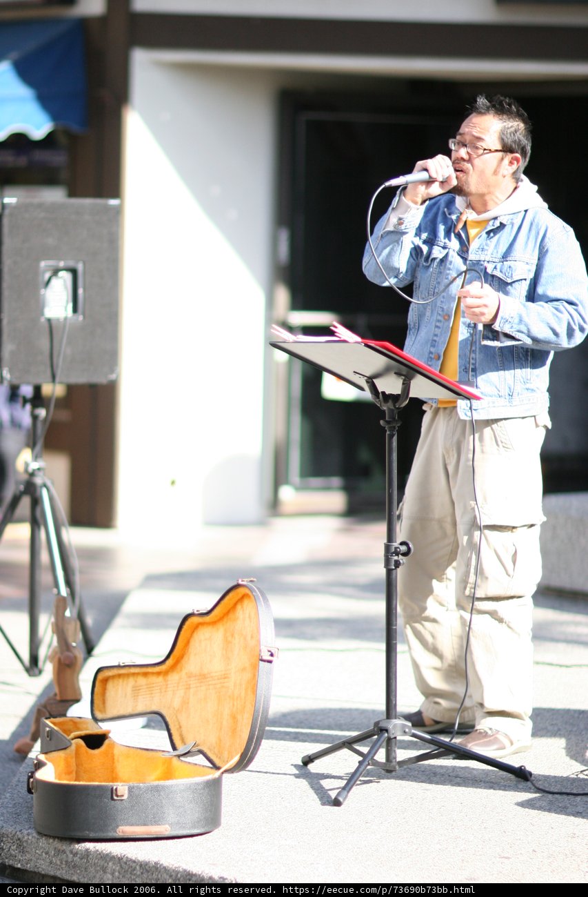 A Melodic Serenade