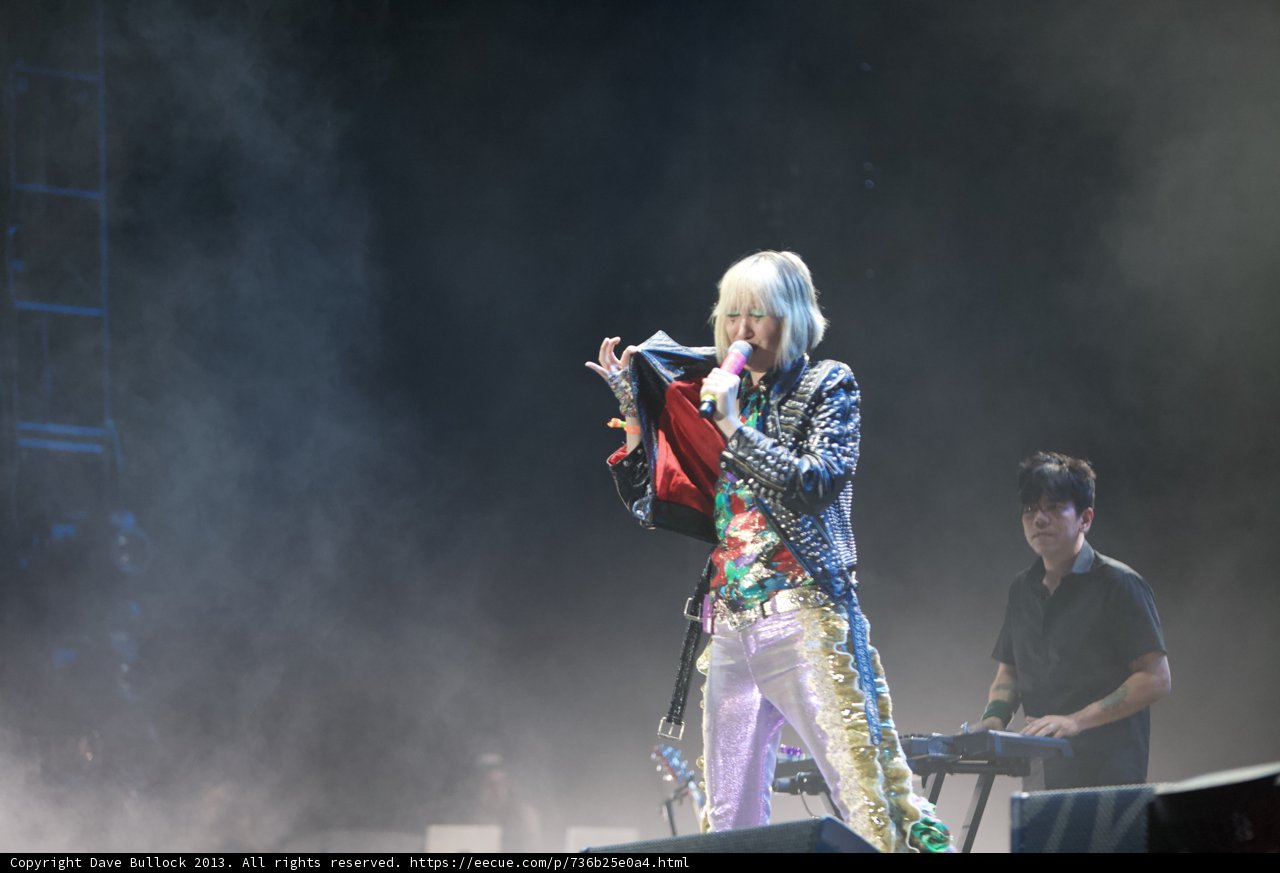 The Colorful Serenade