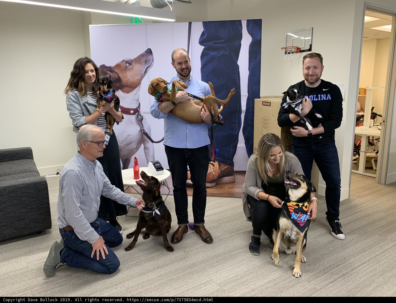 Office Pups