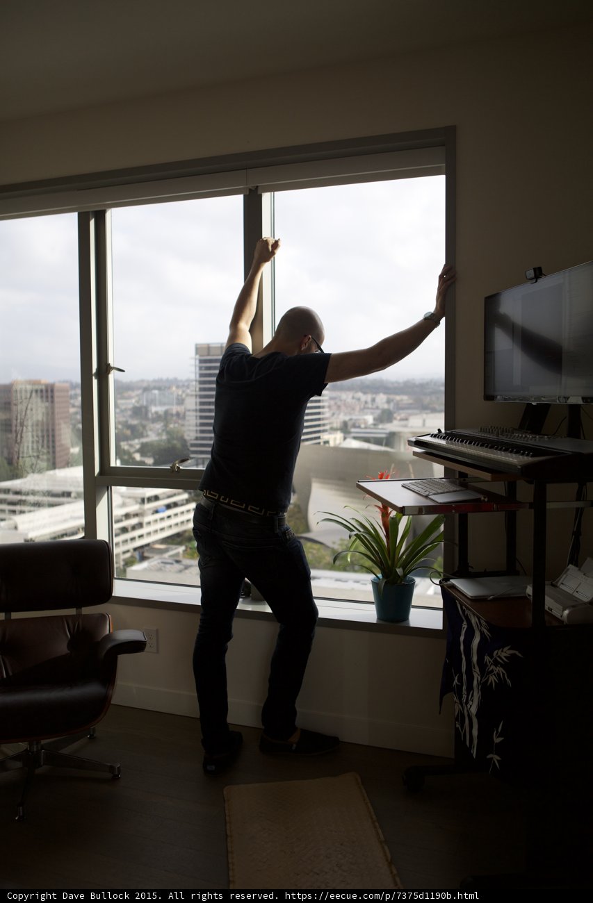 Arms Raised at the Window