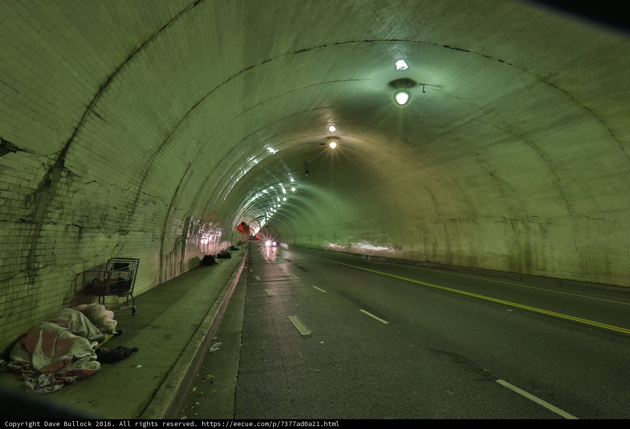 Tunnel Dweller
