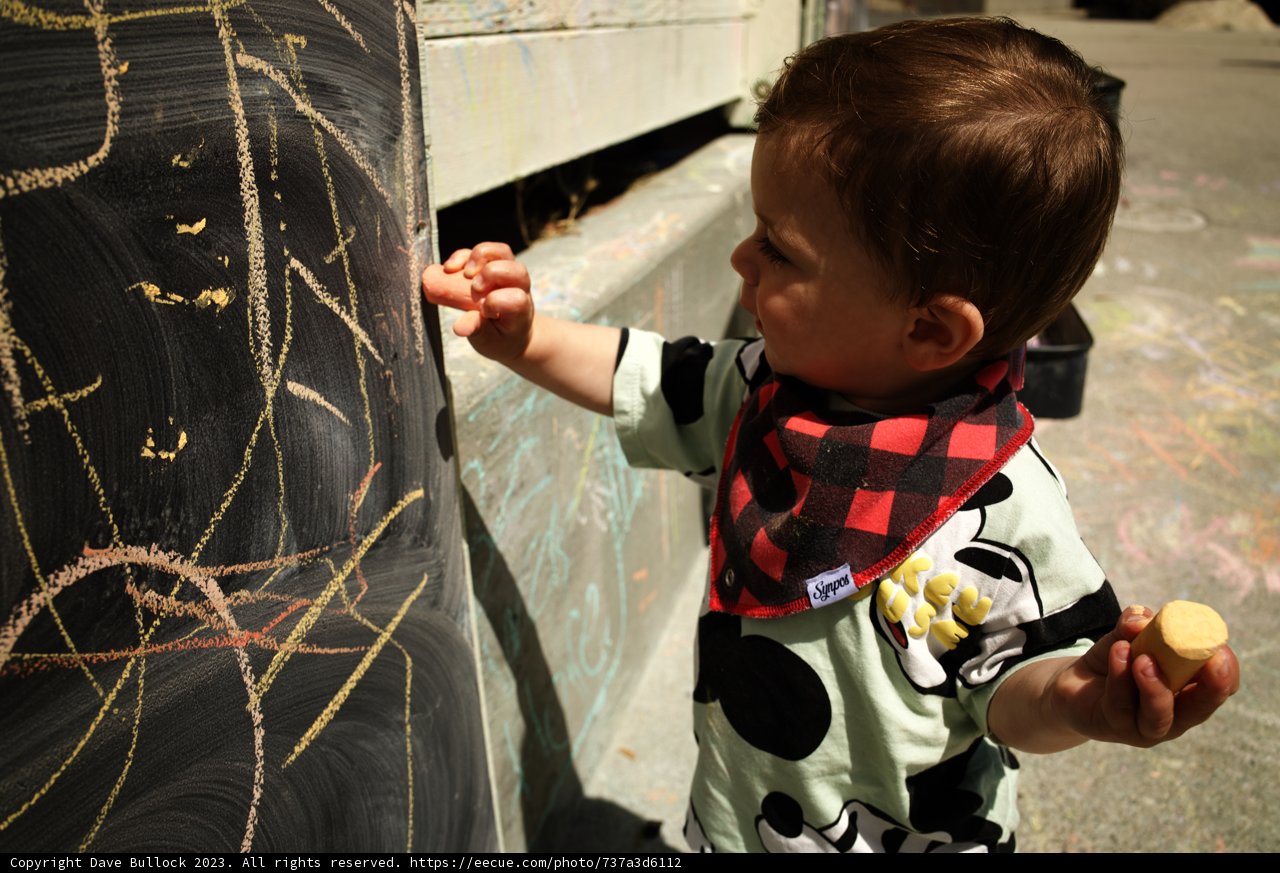The Little Picasso at Bay Area Discovery Museum, 2023