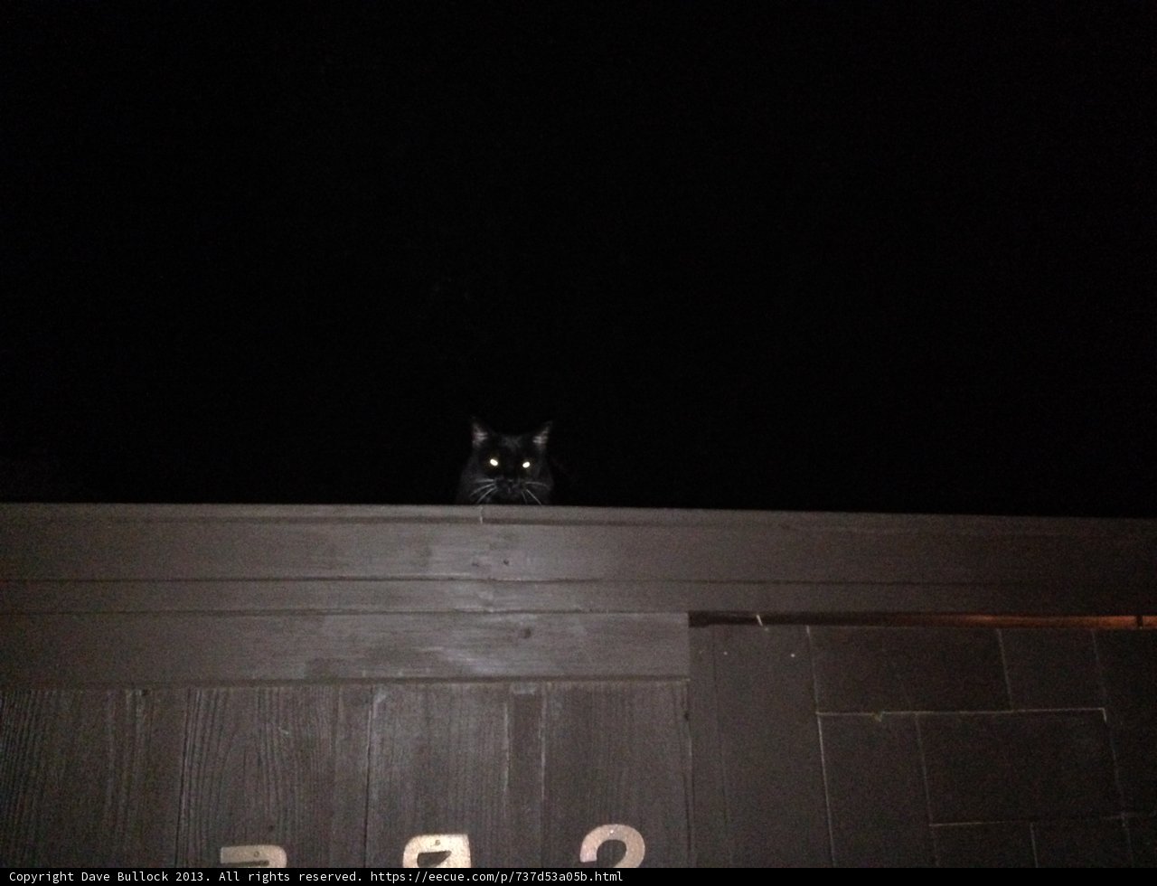 Midnight Sentinel