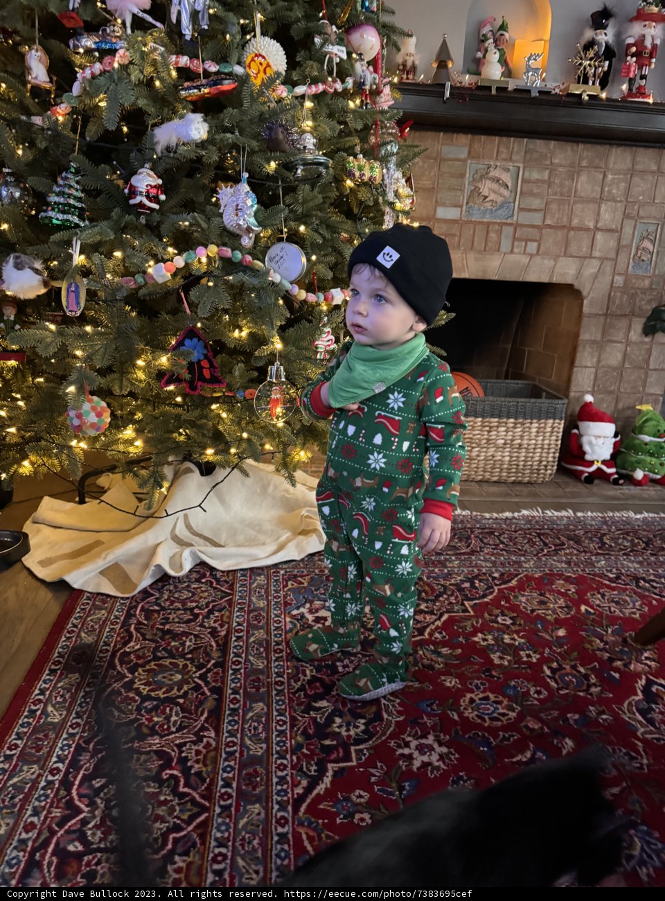 Wesley's First Christmas