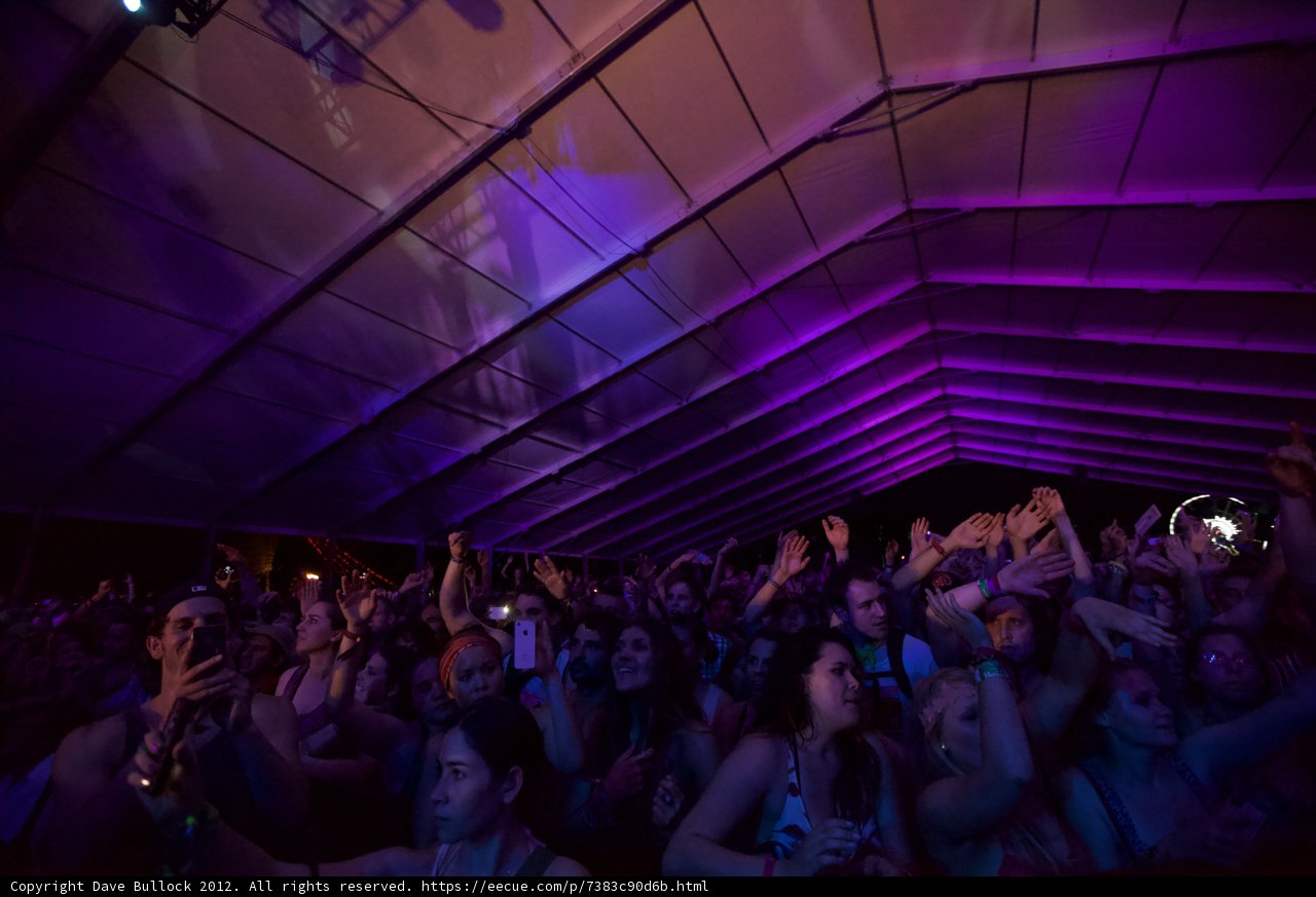 Electric Nights at Coachella