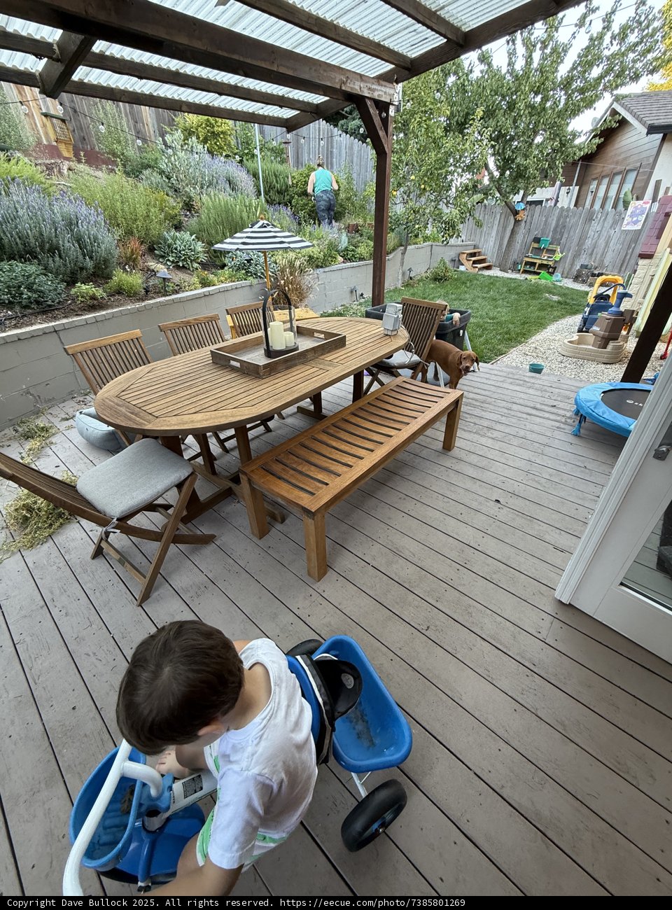 Afternoon Adventures: Backyard Bliss