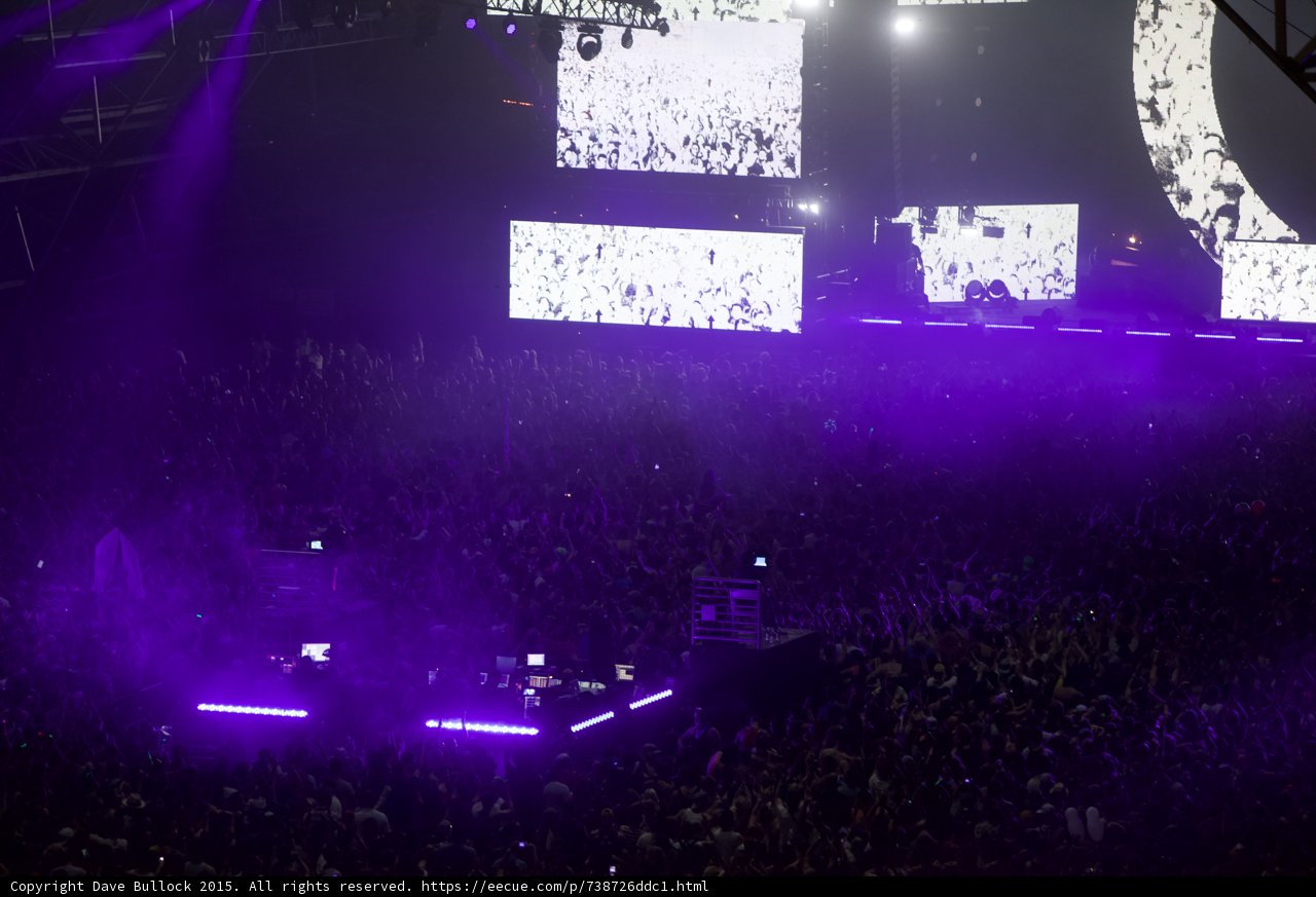Purple Haze