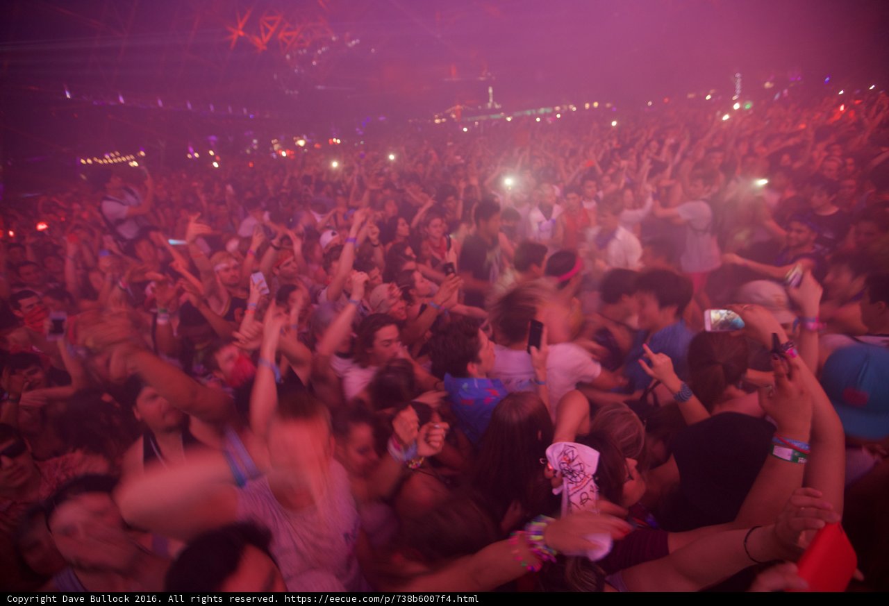 The Ultimate Party Crowd