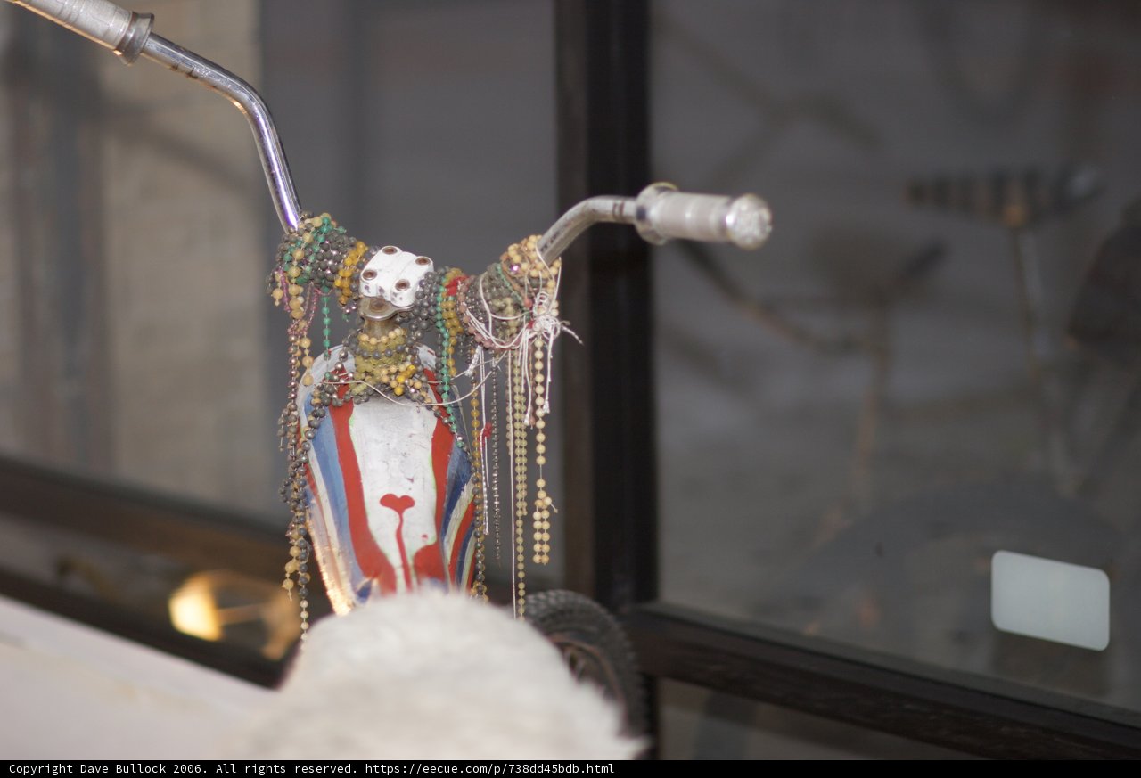 Bling Bicycle