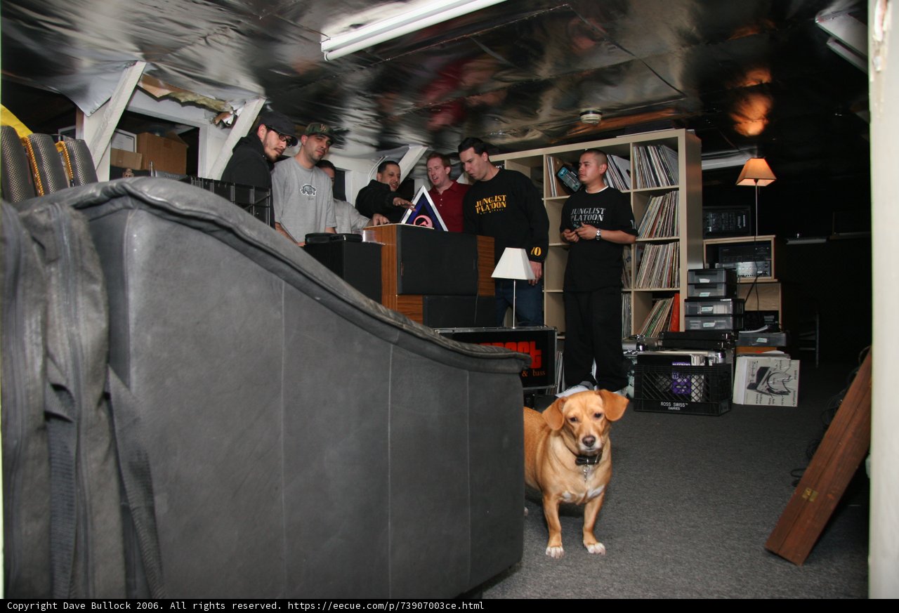 Canine Companion in a Den of Men