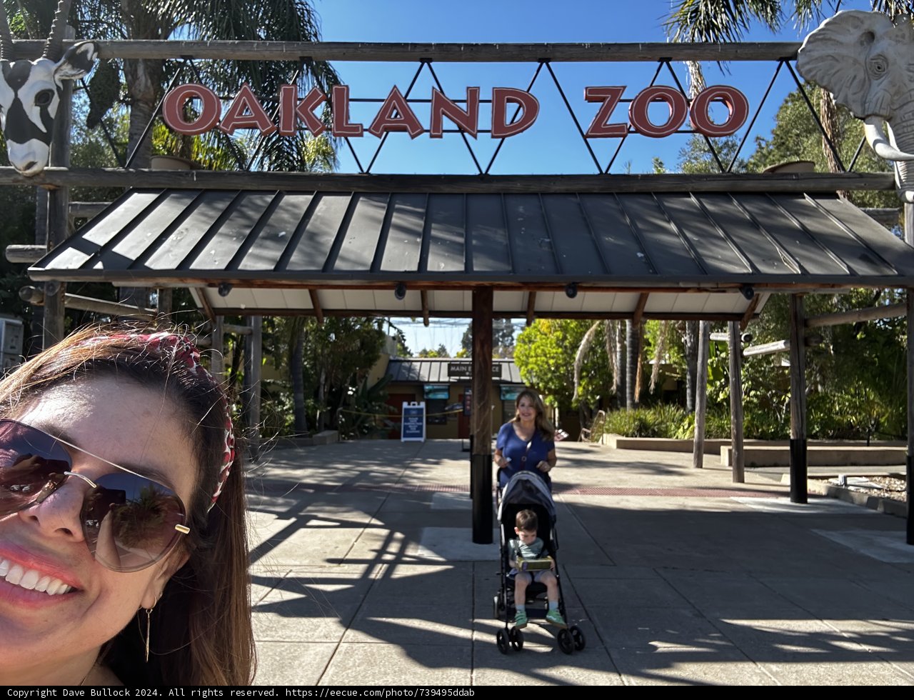 Zoo Day Adventure